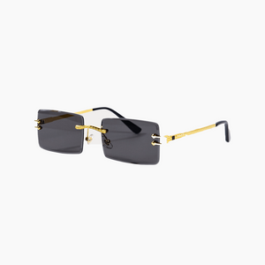 Black Lenses / Gold Frame